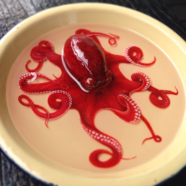 Rode octopus in schaaltje in hars en acryl van kunstenaar Keng Lye